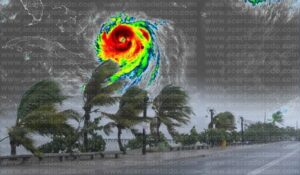 WhatsApp Image 2025-08-18 at 1.28.43 PM